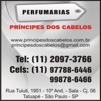 PRINCIPES DOS CABELOS 35258 1