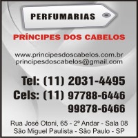 PRINCIPES DOS CABELOS 35260 1